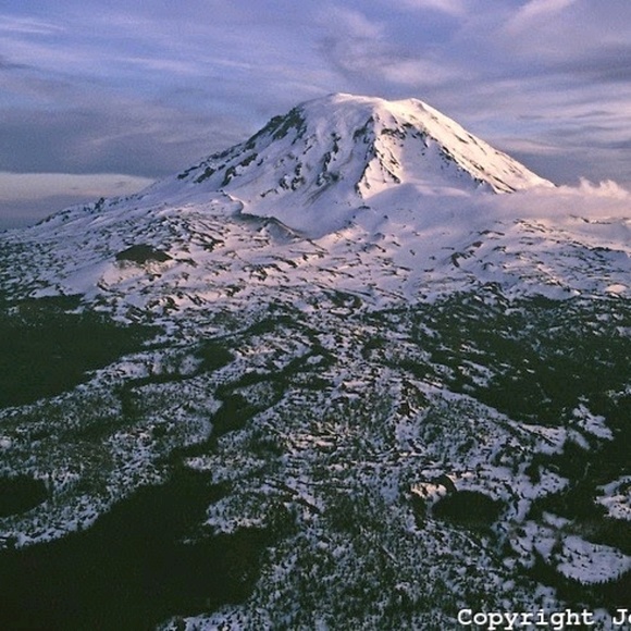 Meet your Posher, Billie - Picture 1 of 1